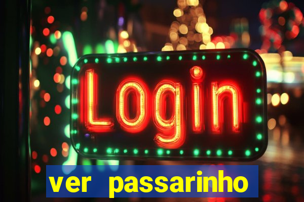 ver passarinho morto significado